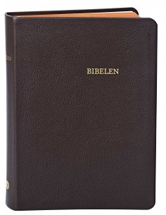 Bibelen - mellemformat