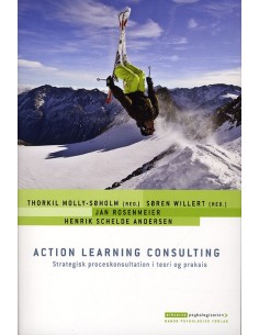 Action Learning Consulting