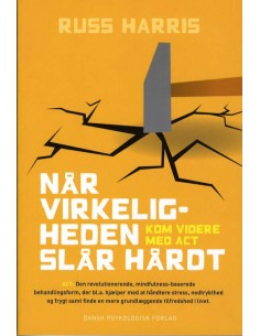 Når virkeligheden slår hårdt