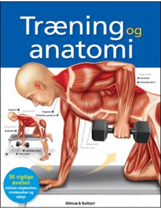 Træning og anatomi