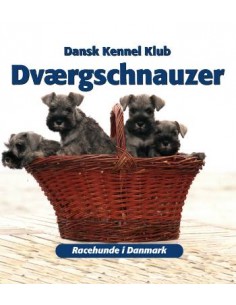 Dværgschnauzer