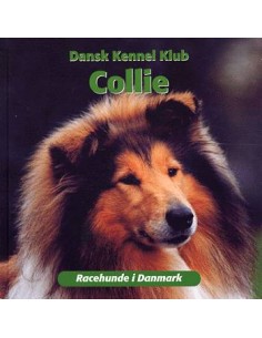 Collie