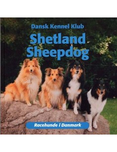 Shetland Sheepdog