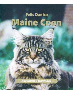 Maine Coon