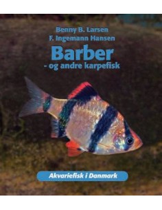Barber - og andre karpefisk