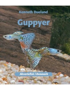 Guppyer