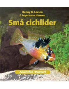 Små cichlider