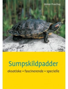 Sumpskildpadder