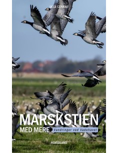 Marskstien