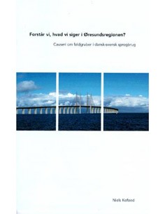 Forstår vi, hvad vi siger i...