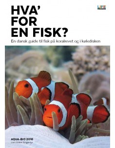 Hva' for en fisk?