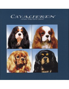 Cavalieren