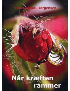 Når kræften rammer