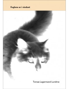 Fuglene er i vinduet