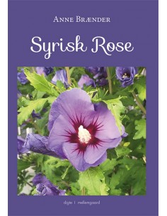 Syrisk rose