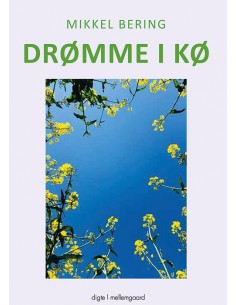 Drømme i kø