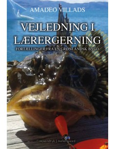 Vejledning i lærergerning