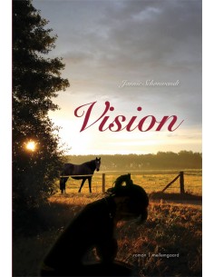 Vision