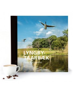 Lyngby-Taarbæk – Flere...