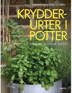 Krydderurter i potter