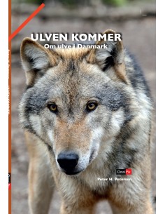 Ulven kommer