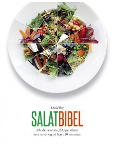 Salatbibel