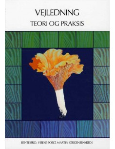 Vejledning - teori og praksis