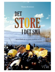 Det store i det små