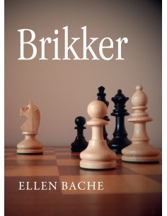 Brikker