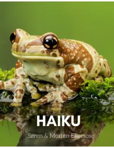 HAIKU