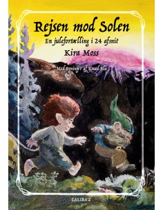 Rejsen mod solen