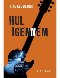 Hul igennem