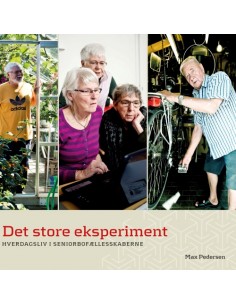 Det store eksperiment