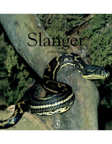 Slanger