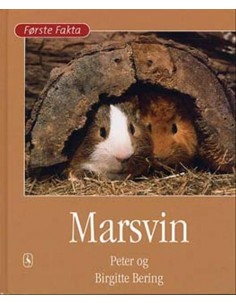 Marsvin