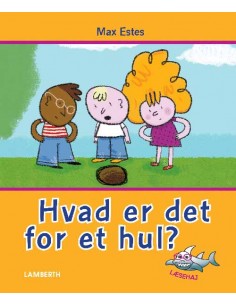 Hvad er det for et hul?