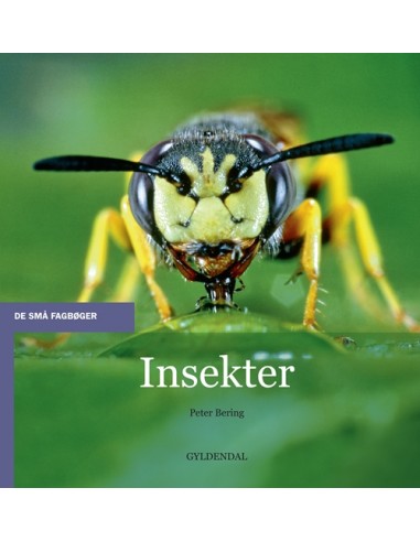 Insekter