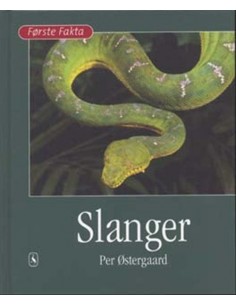 Slanger