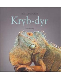 Krybdyr