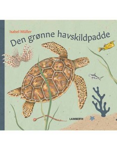 Den grønne havskildpadde