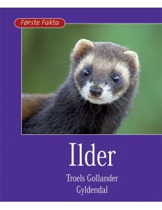 Ilder