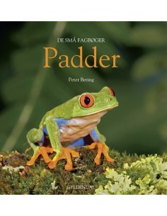 Padder