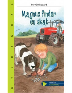 Magnus finder en skat