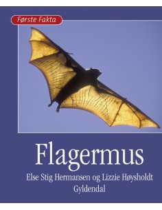 Flagermus