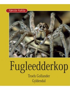 Fugleedderkop