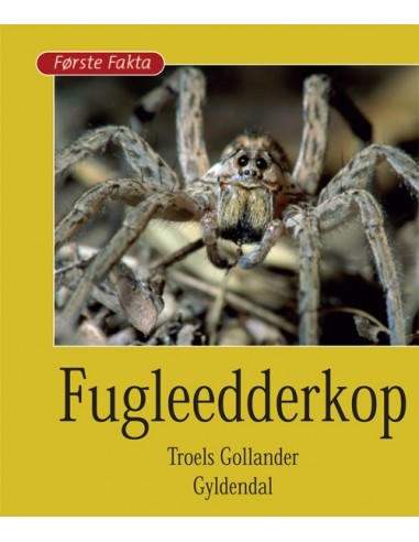 Fugleedderkop