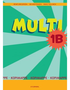 MULTI 1B