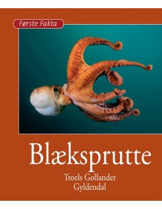 Blæksprutte