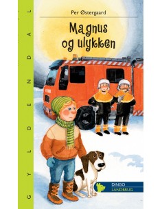 Magnus og ulykken