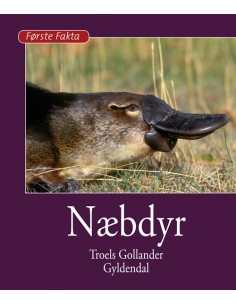 Næbdyr
